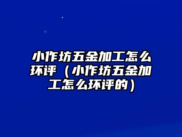 小作坊五金加工怎么環評（小作坊五金加工怎么環評的）