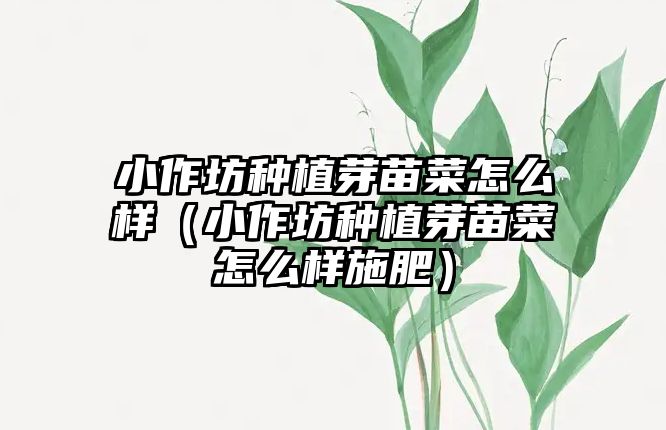 小作坊種植芽苗菜怎么樣（小作坊種植芽苗菜怎么樣施肥）