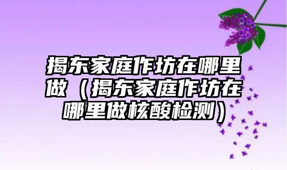 揭東家庭作坊在哪里做（揭東家庭作坊在哪里做核酸檢測）