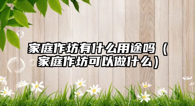 家庭作坊有什么用途嗎（家庭作坊可以做什么）