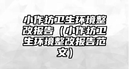 小作坊衛生環境整改報告（小作坊衛生環境整改報告范文）