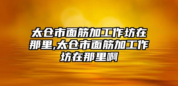 太倉市面筋加工作坊在那里,太倉市面筋加工作坊在那里啊