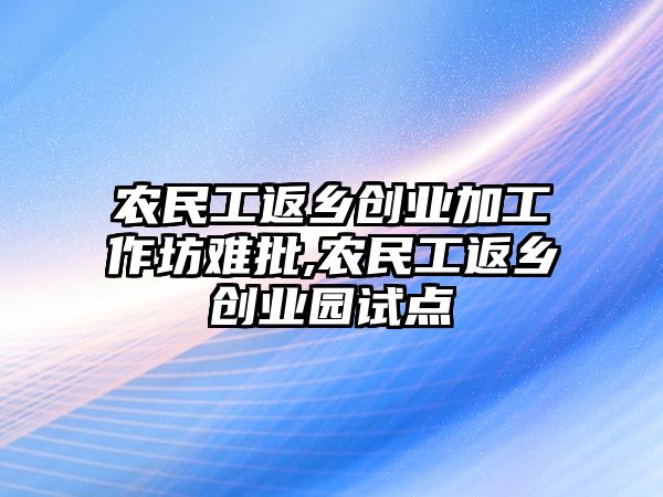 農民工返鄉創業加工作坊難批,農民工返鄉創業園試點