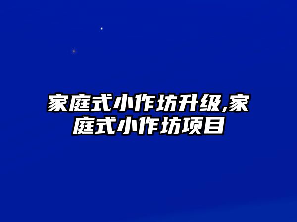 家庭式小作坊升級,家庭式小作坊項目